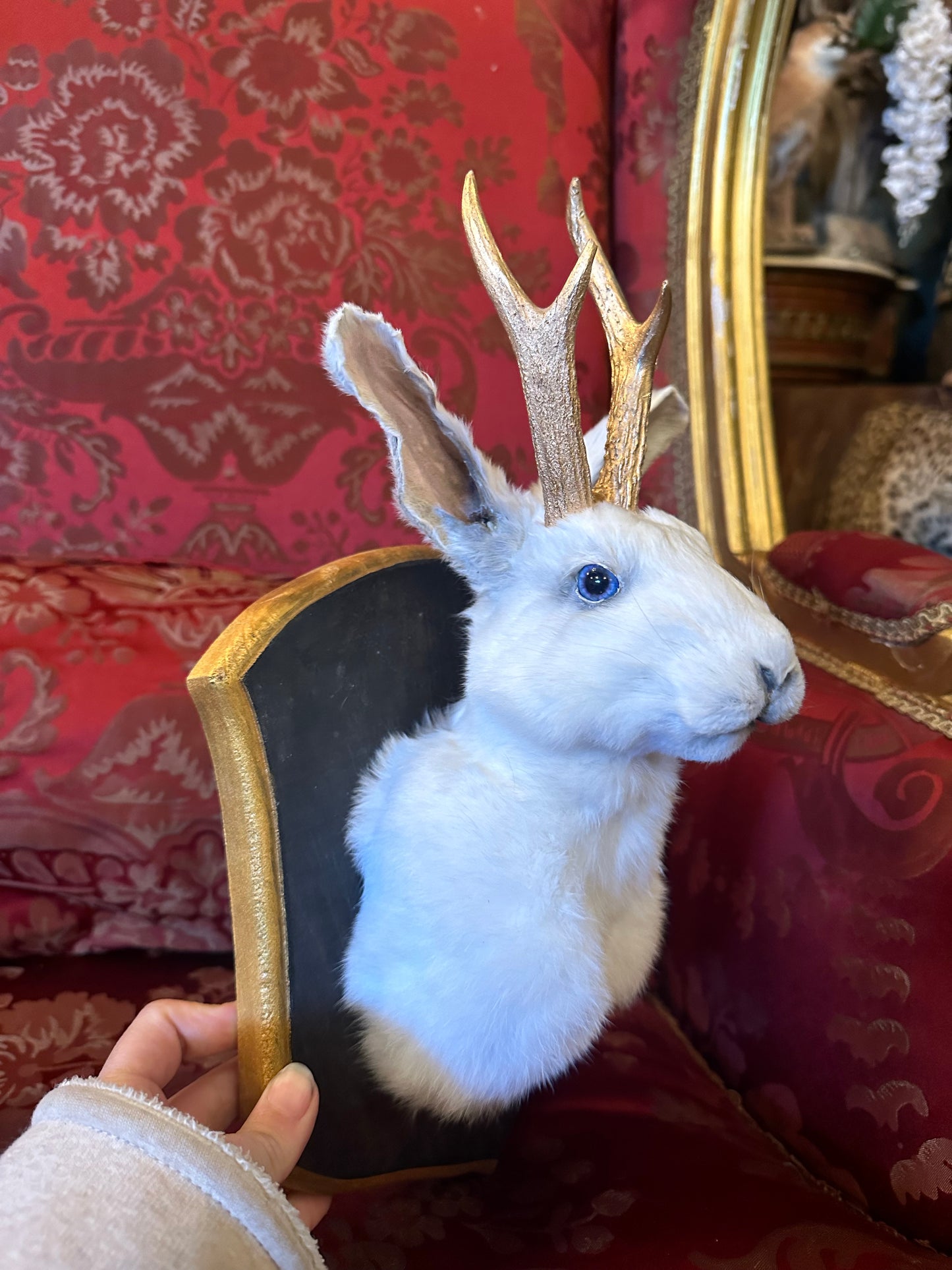 Jackalope taxidermy