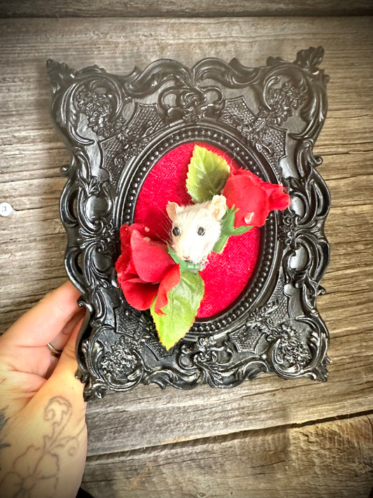 Taxidermy mouse head in a frame