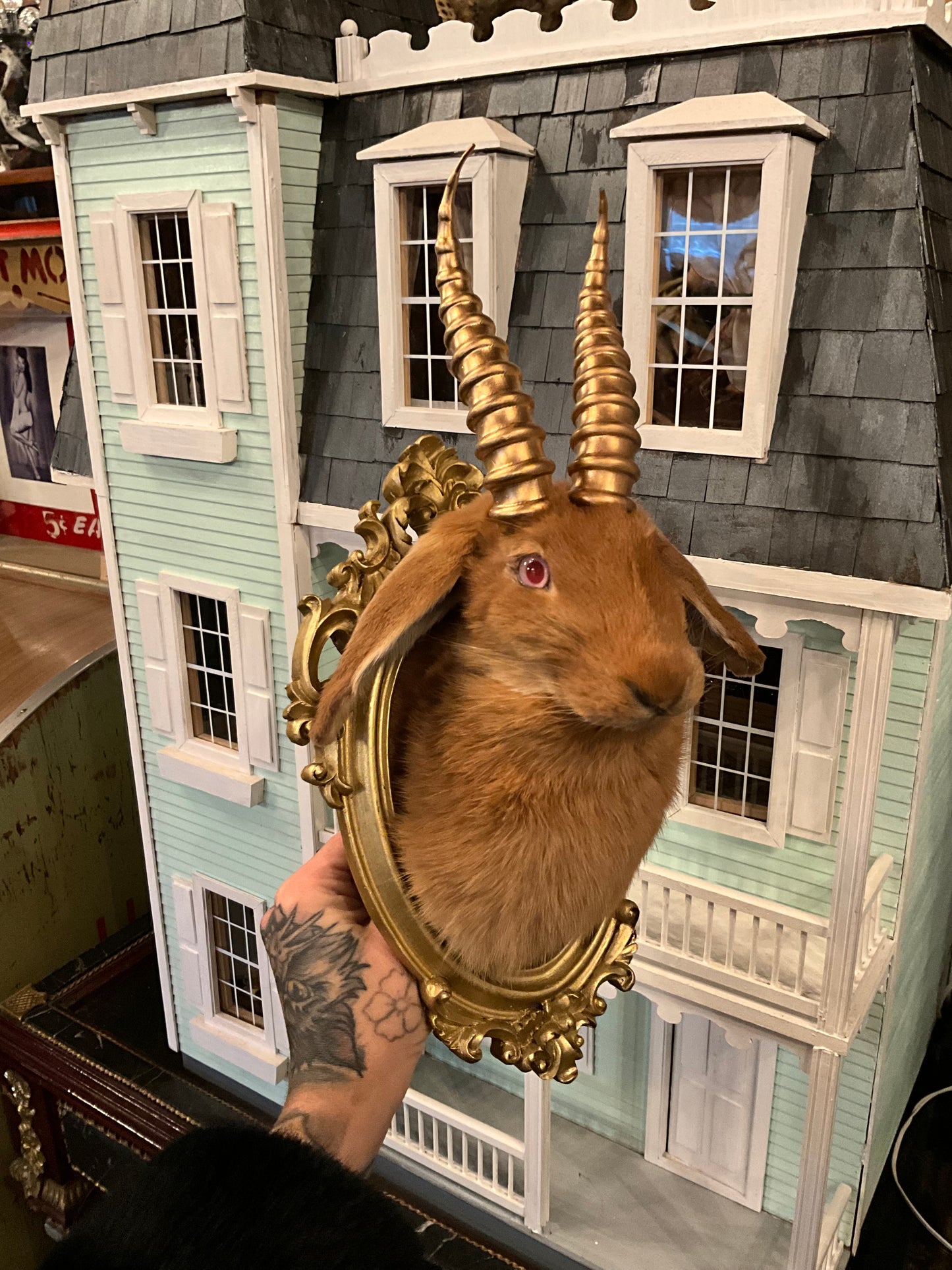 Taxidermy jackalope