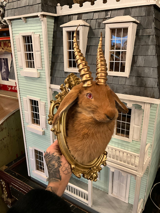 Taxidermy jackalope