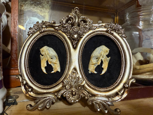 Squirrel skull double frame