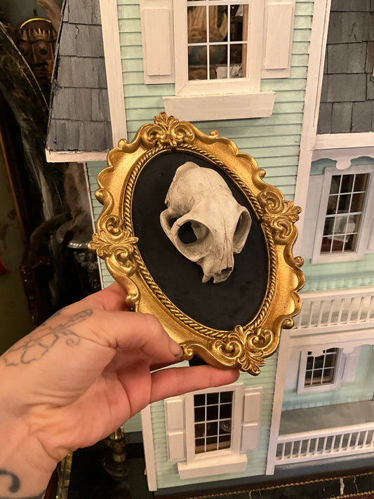 Replica cat skull on a frame