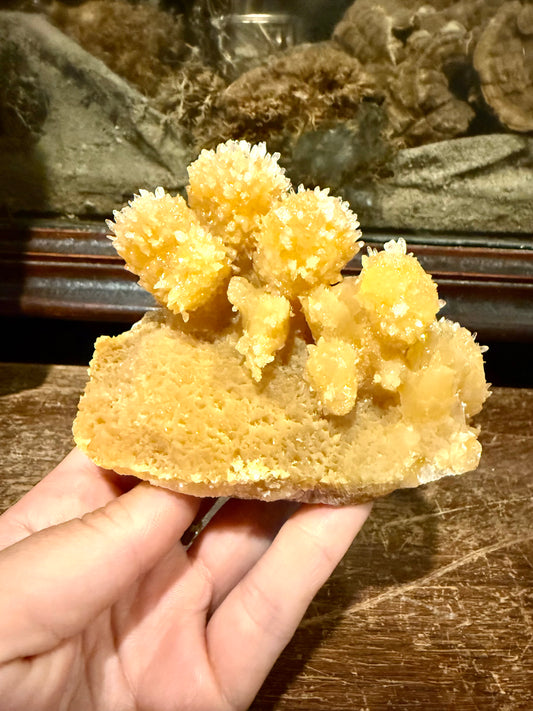 Aragonite spécimen 15x12 cm