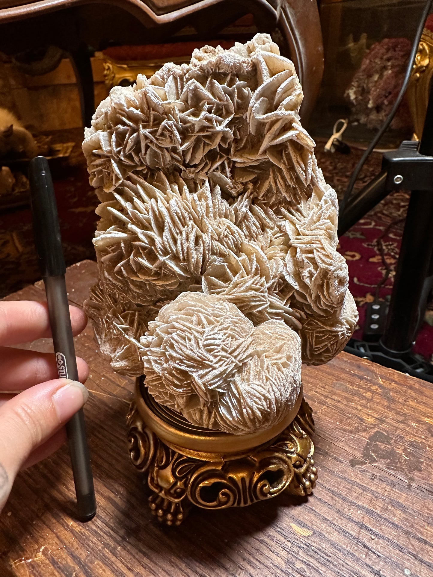 Large desert rose crystal