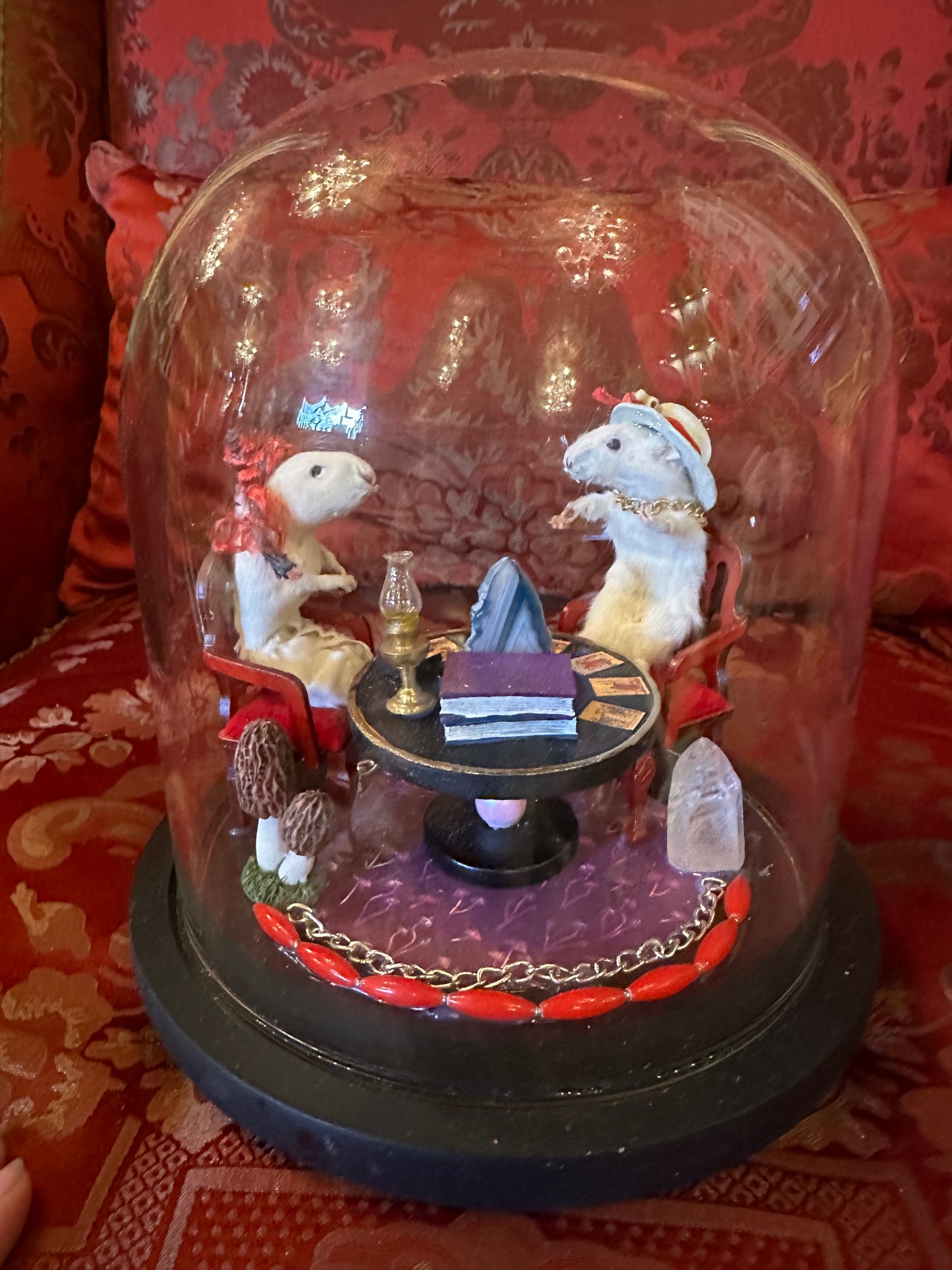 Tarot reading mouses dome display