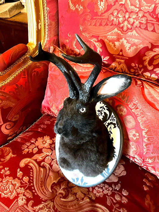 All Black jackalope