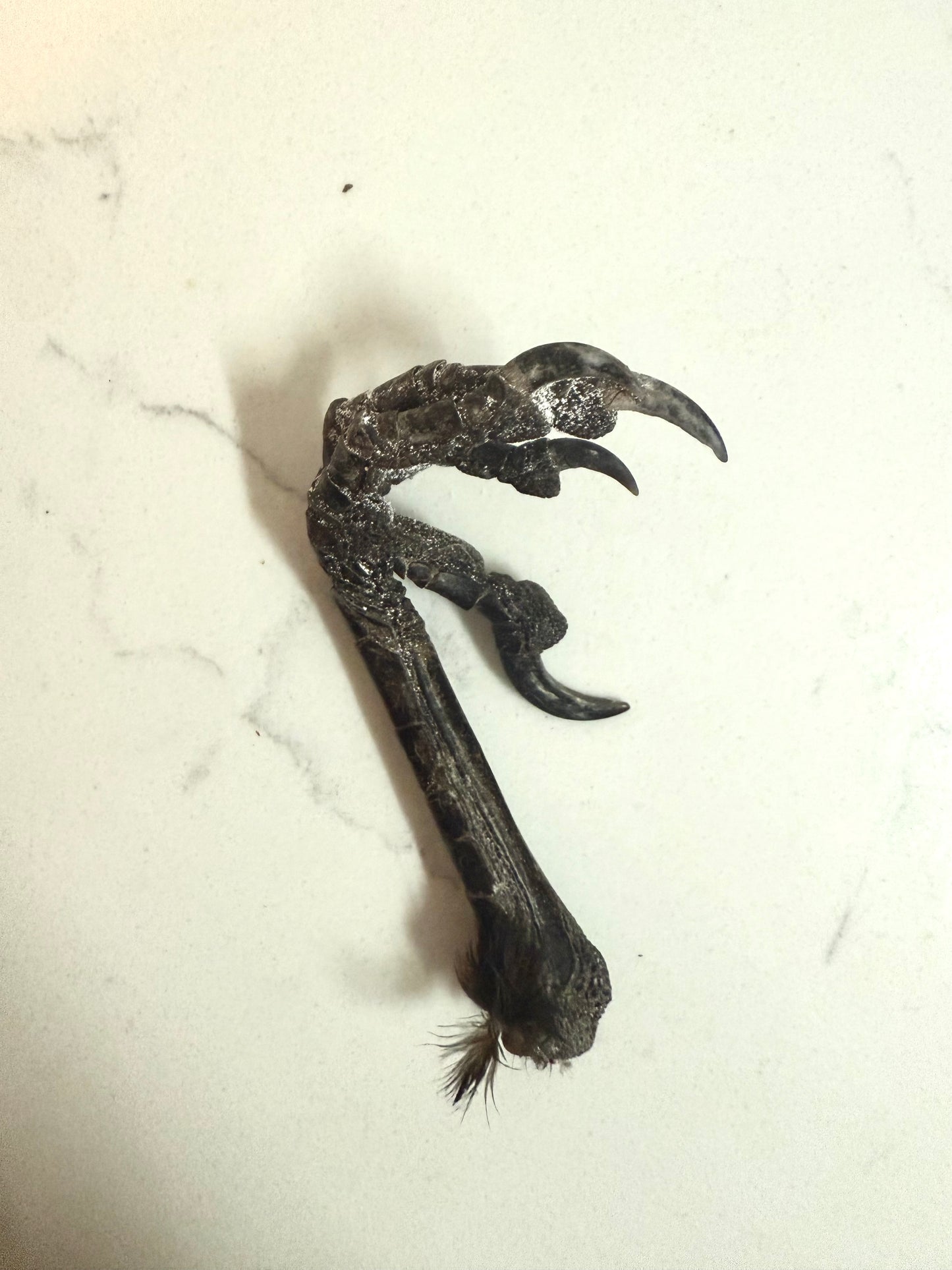 Crow foot