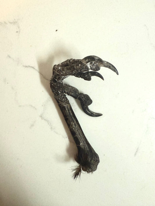 Crow foot