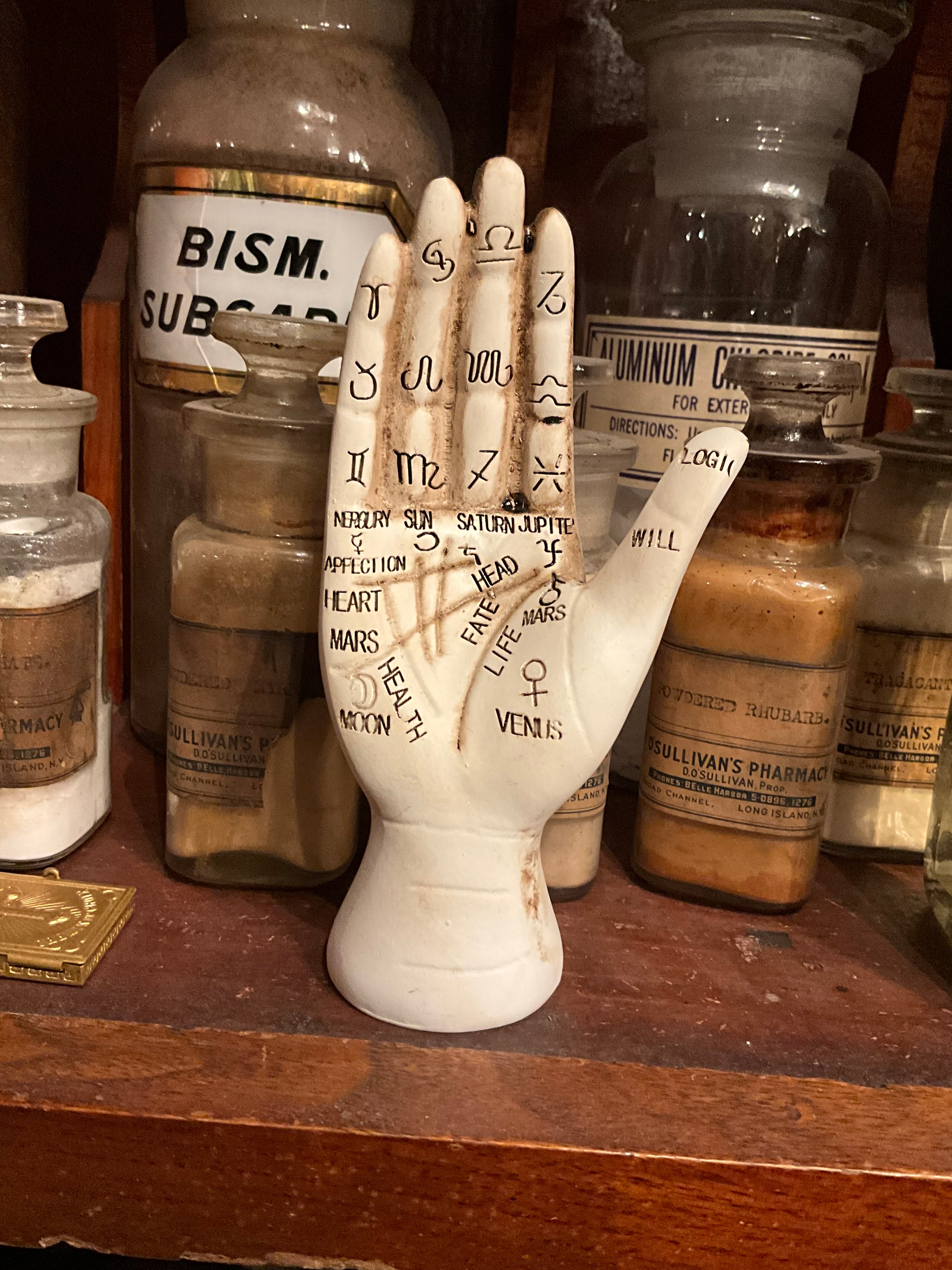 Palmestry hand – Tocb-mtl