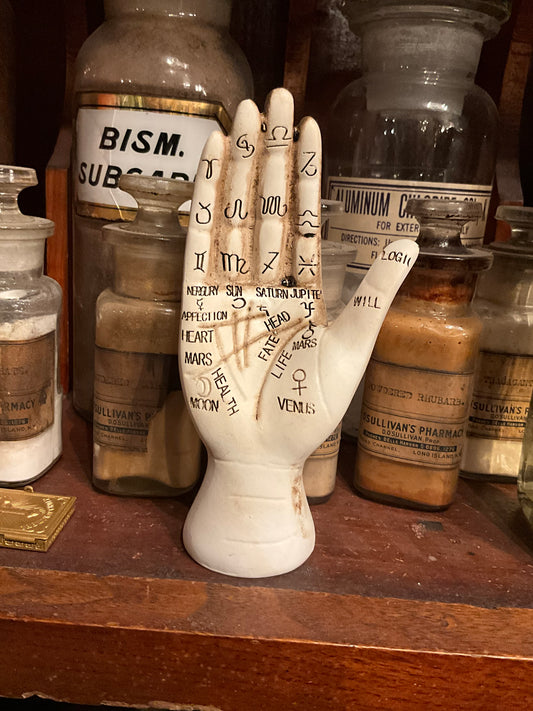 Palmestry hand