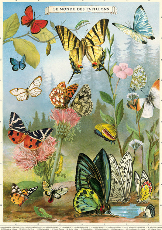 Butterfly garden print
