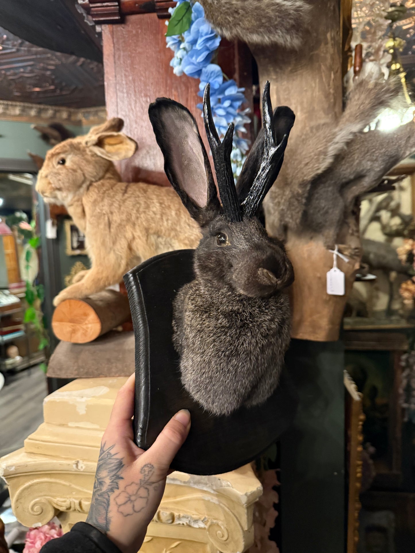 Jackalope taxidermy