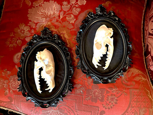 2 Fox frame style cameo