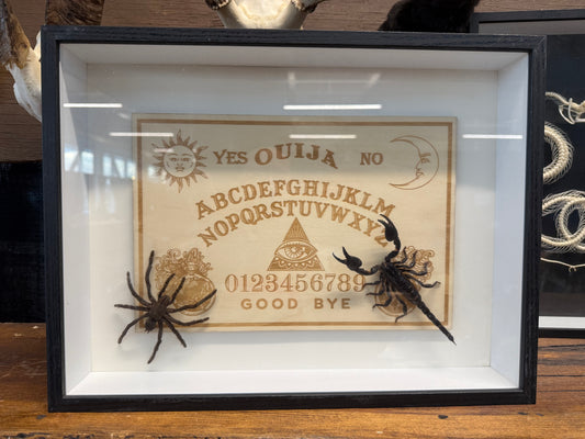 Tarentula-scorpion ouija board