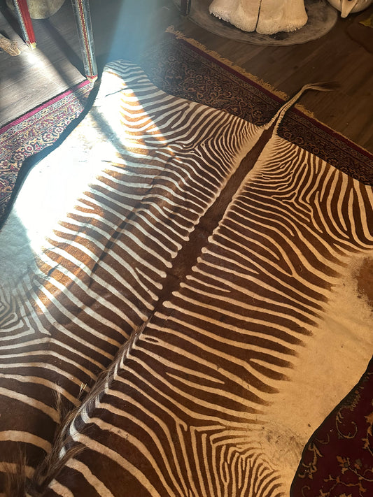 Full brown zebra rug