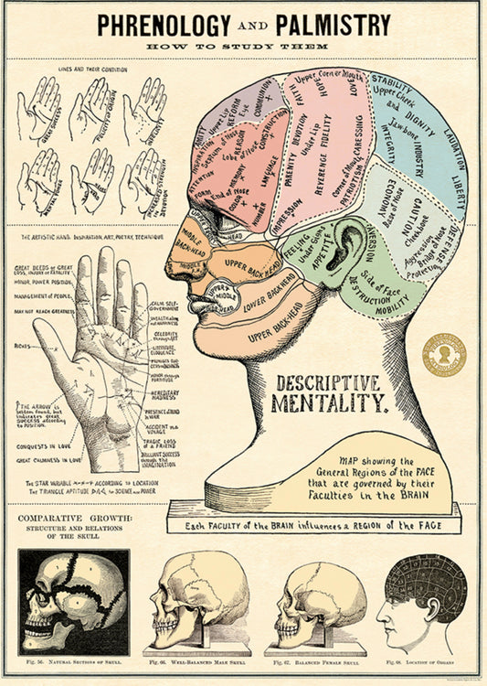 Phreneology & palmistry chart print