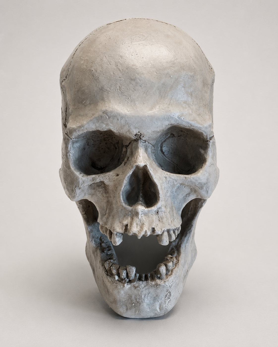 Wall hanging resin human skull