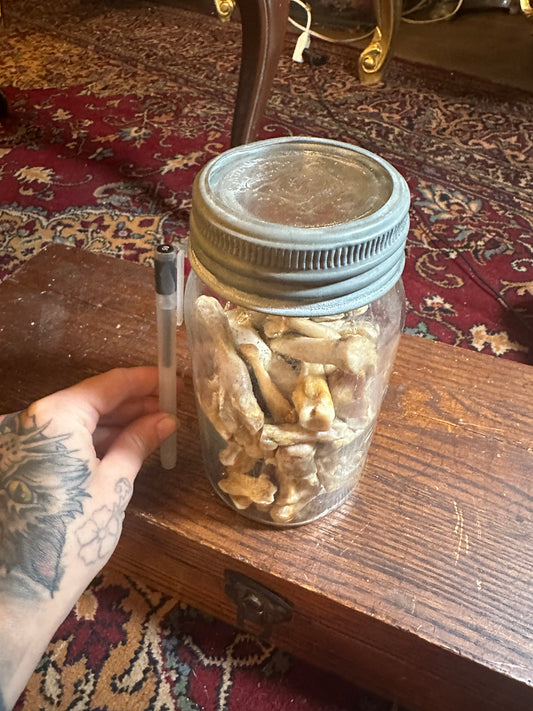 Antique jar of bones