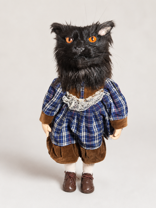 Taxidermy black cat doll