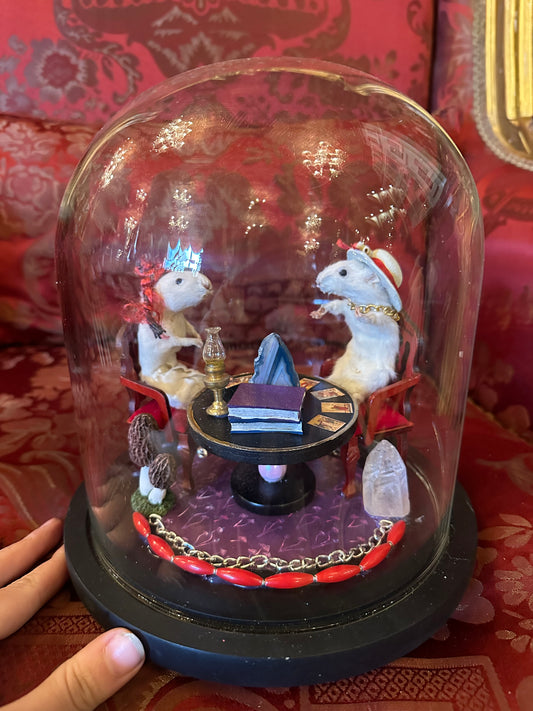 Tarot reading mouses dome display