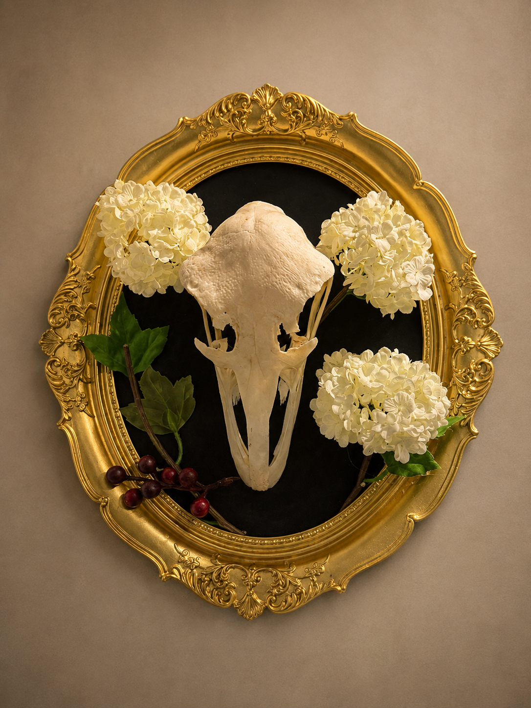 Ostrich skull in frame