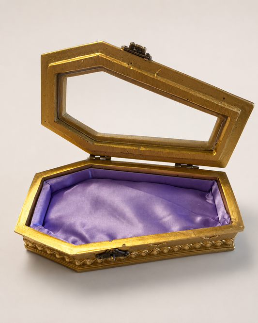 Gold & purple coffin Glass box