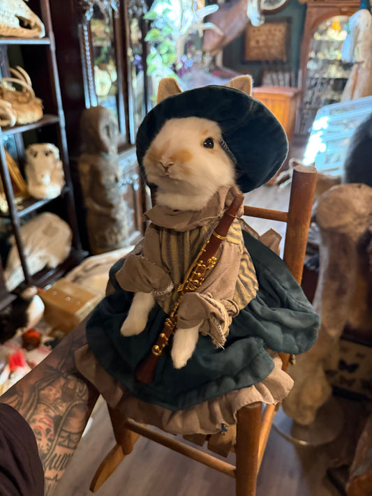 Clarinet dressed up rabbit