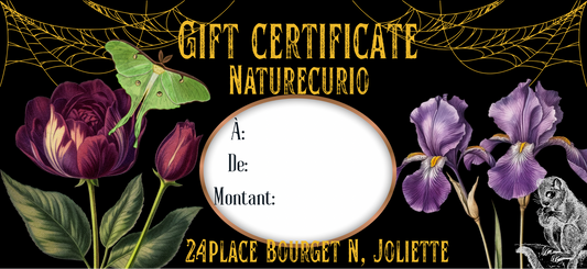 Gift certificate