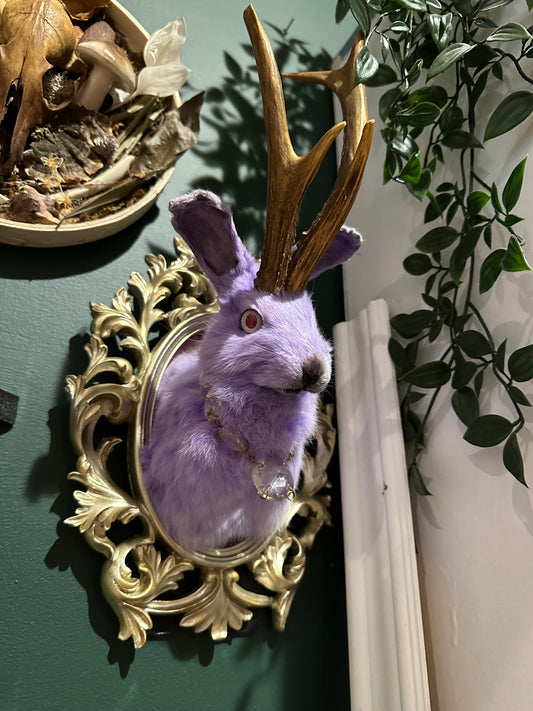 Taxidermy purple jackalope