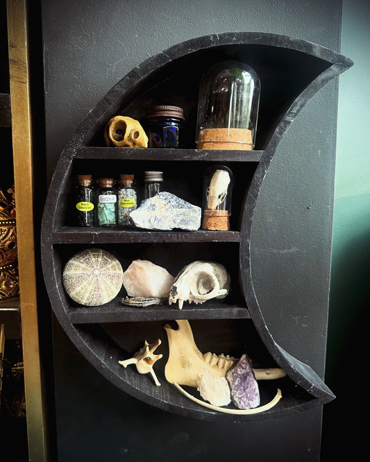 Moon oddities shelf