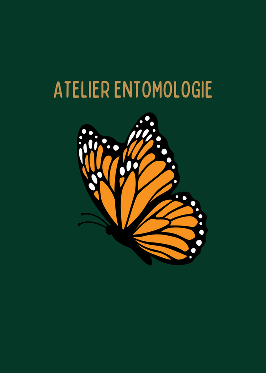 Atelier Entomologie- Papillons 11juillet