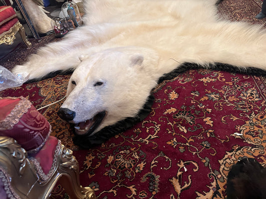 Full X-Large NEW polar bear rug