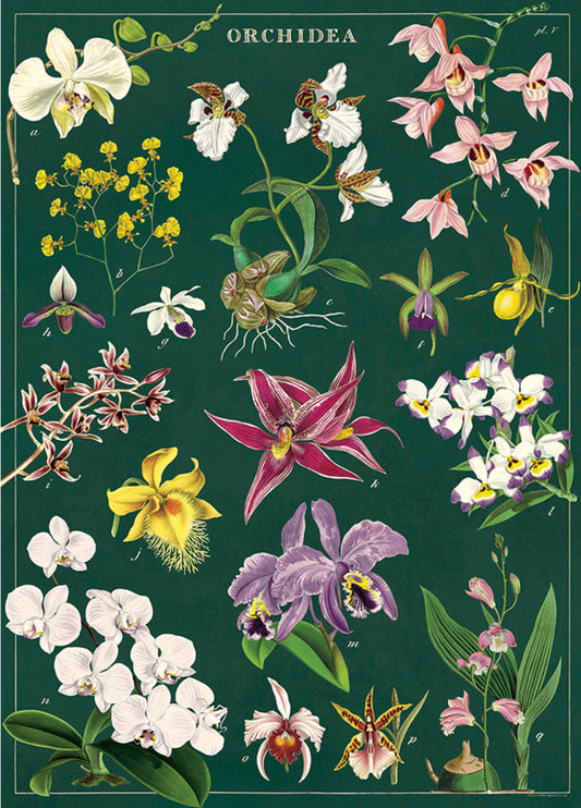 Flora print