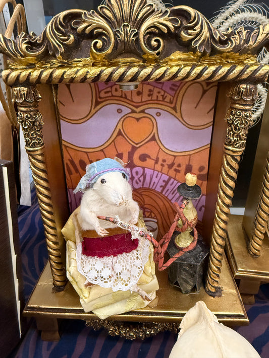 Hookah smoking rat display