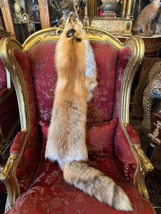 Fox pelt