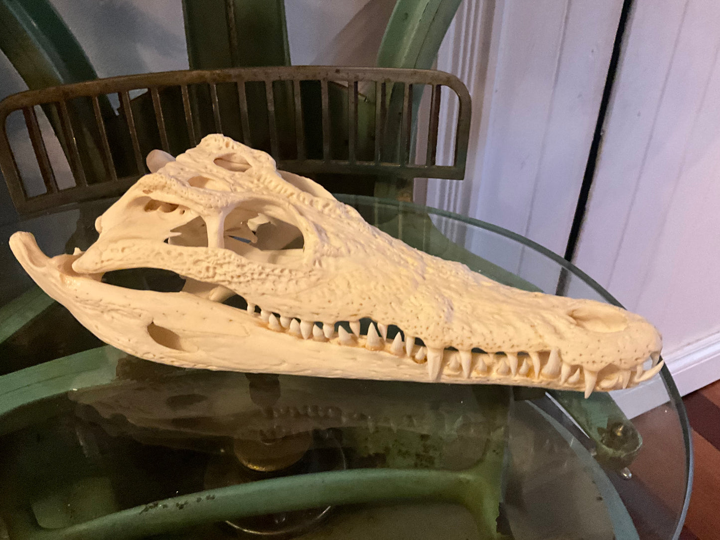 Nile crocodile