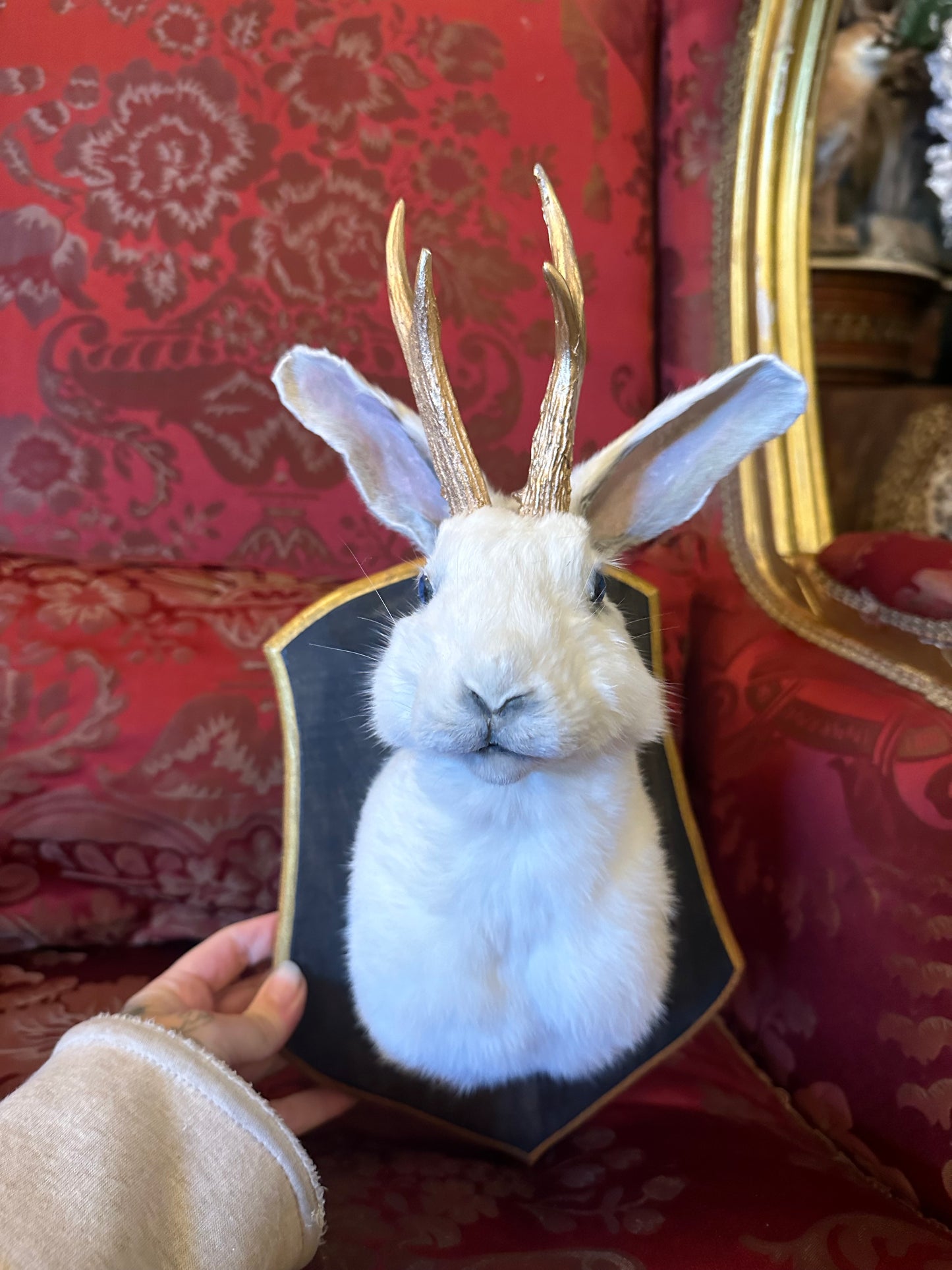 Jackalope taxidermy