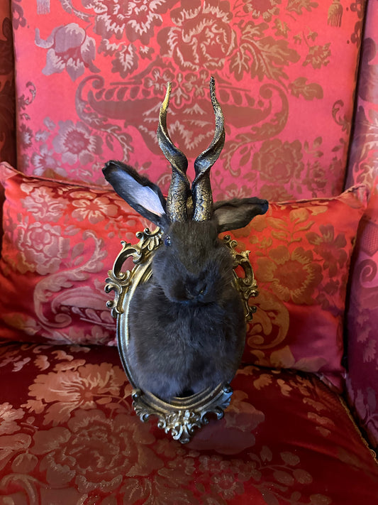 Jackalope taxidermy