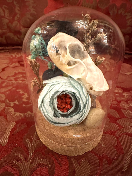 Glass dome mink terrarium