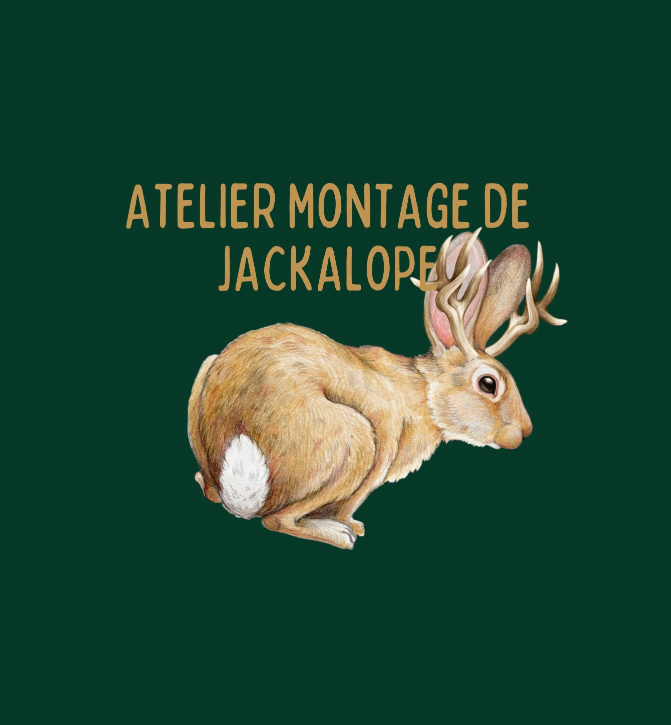 Atelier - Jackalope 12juillet