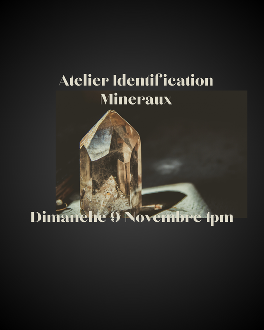 Atelier identification de pierres & minéraux