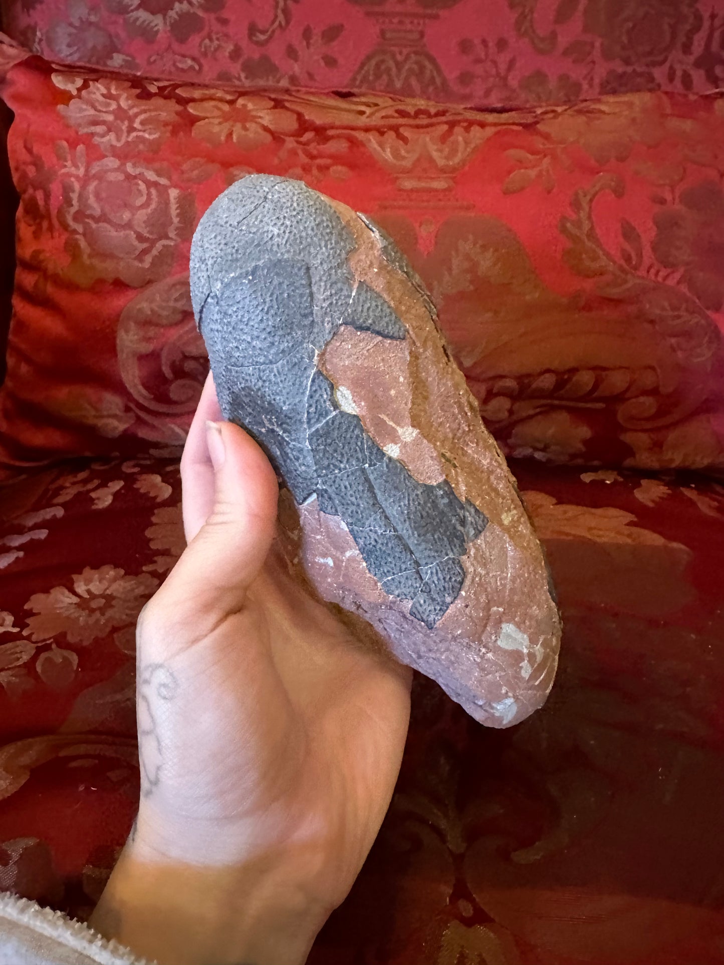 Oviraptor fossilised egg