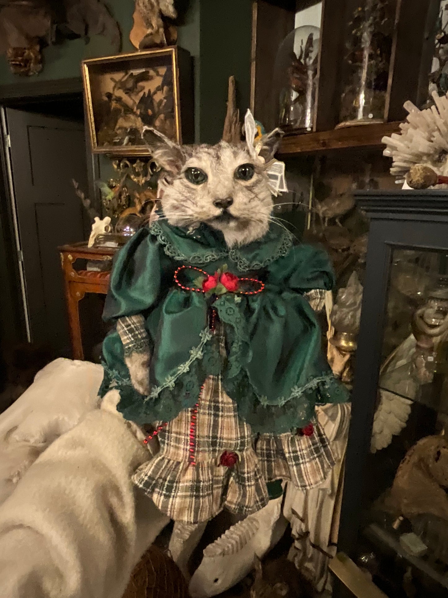 Cat taxidermy doll
