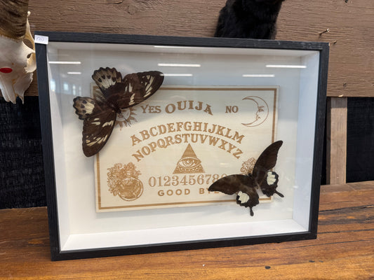 Butterflies & ouija