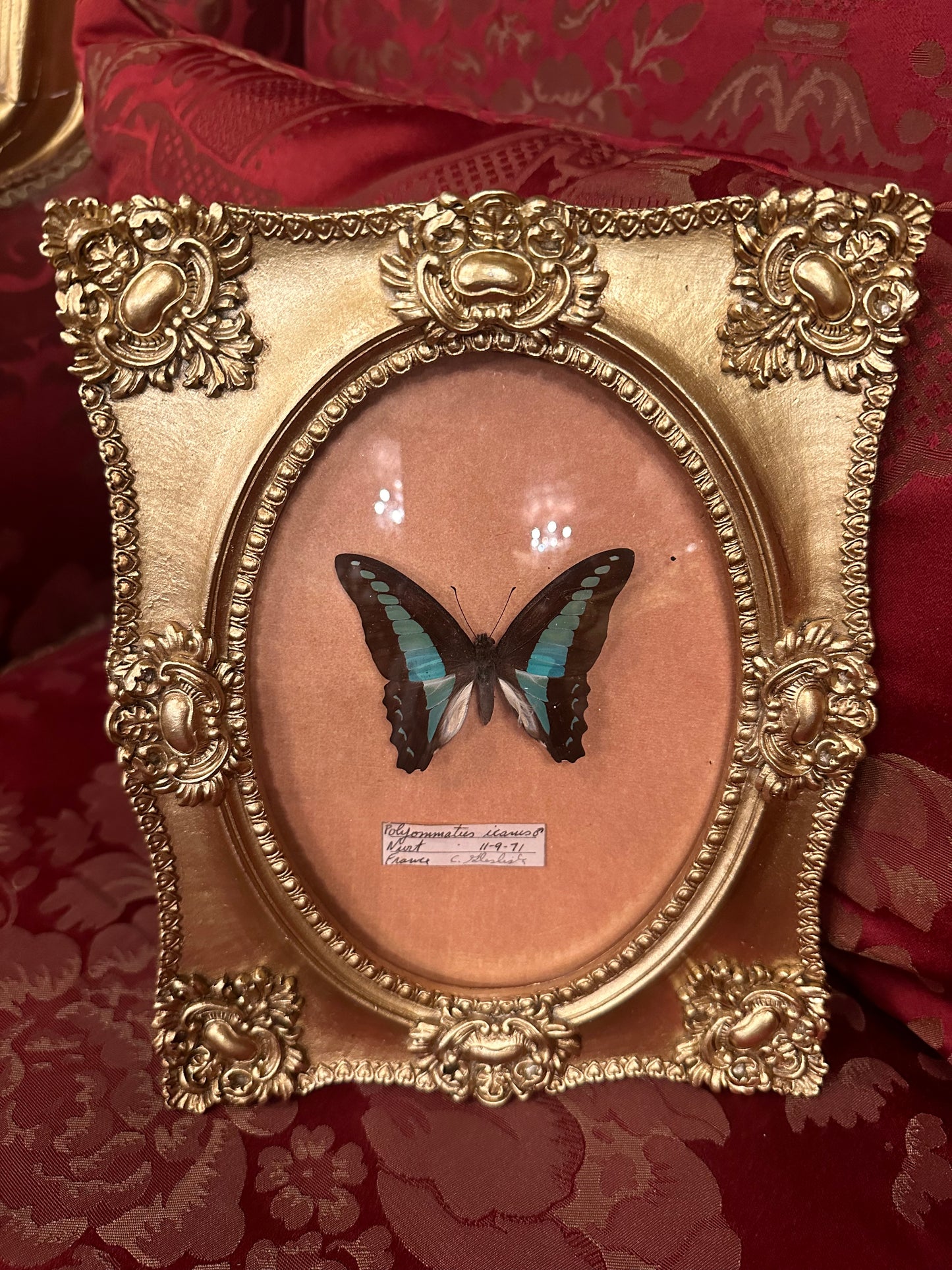 Butterfly frame