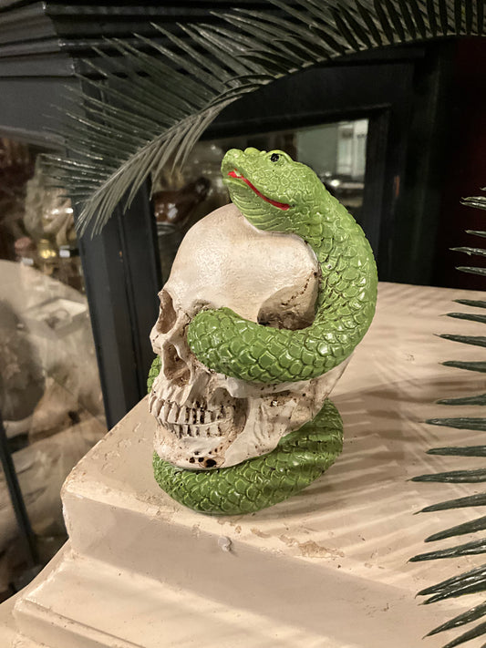 Resin skull with snake