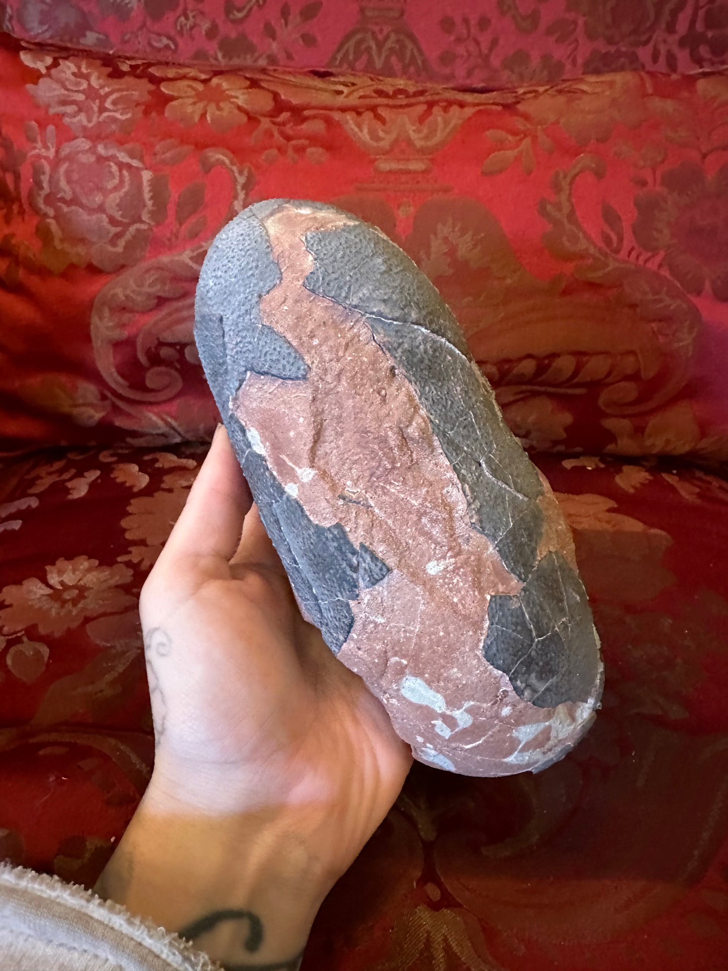 Oviraptor fossilised egg