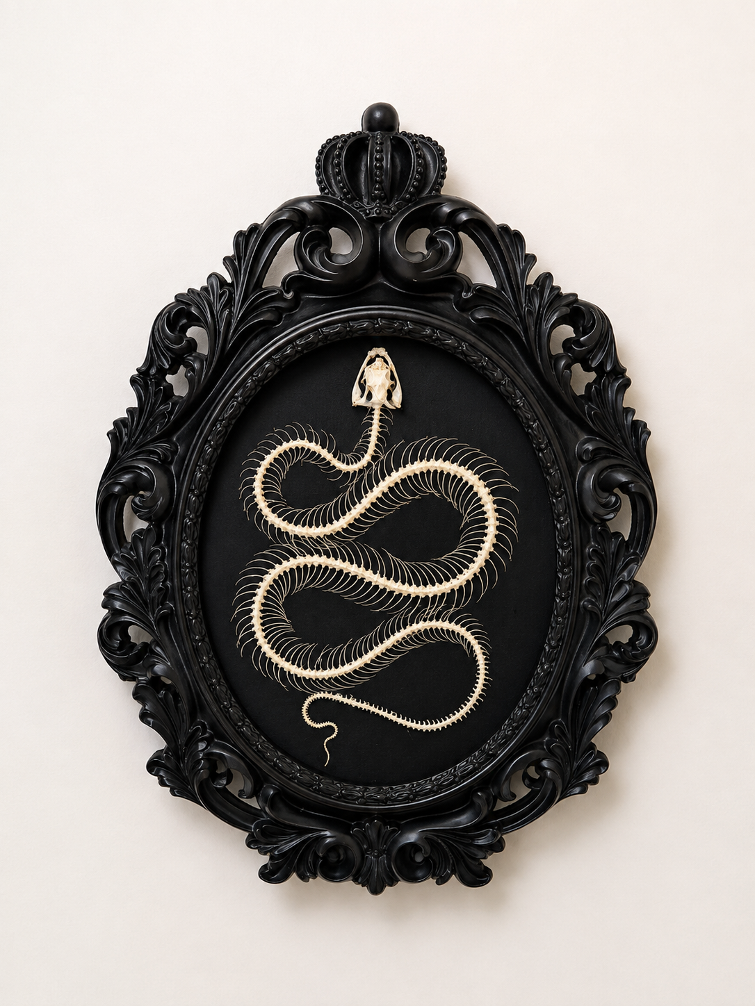 Snake skeleton frame