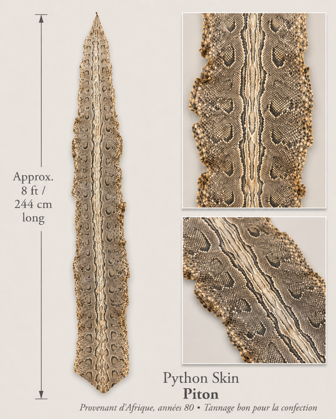 Big python skin
