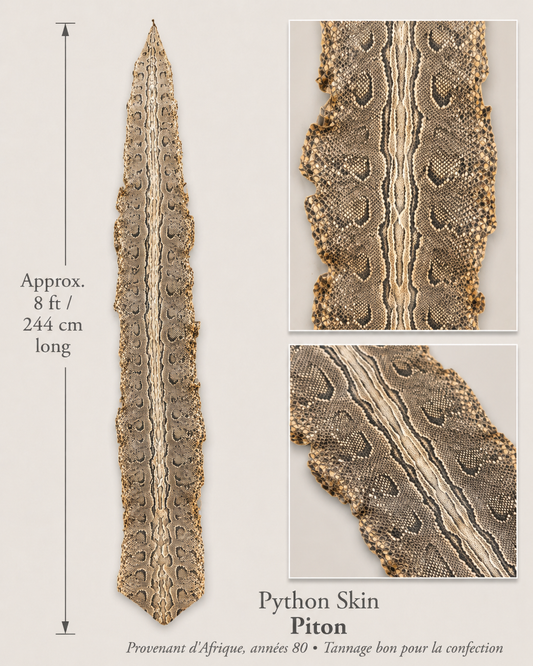 Big python skin